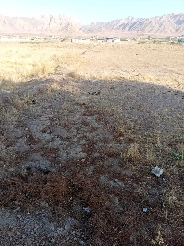 زمین مزروعی