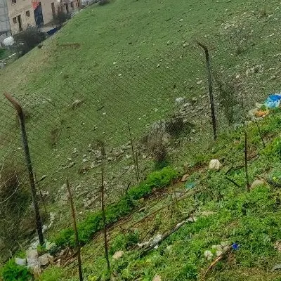 زمین روستای باغسنگان بالا