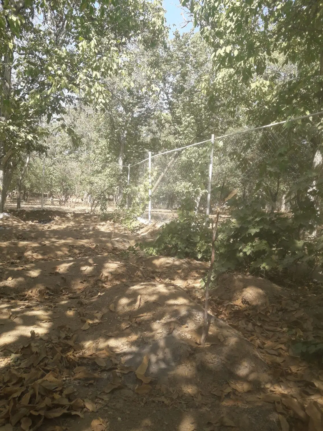 باغچه تفریحی