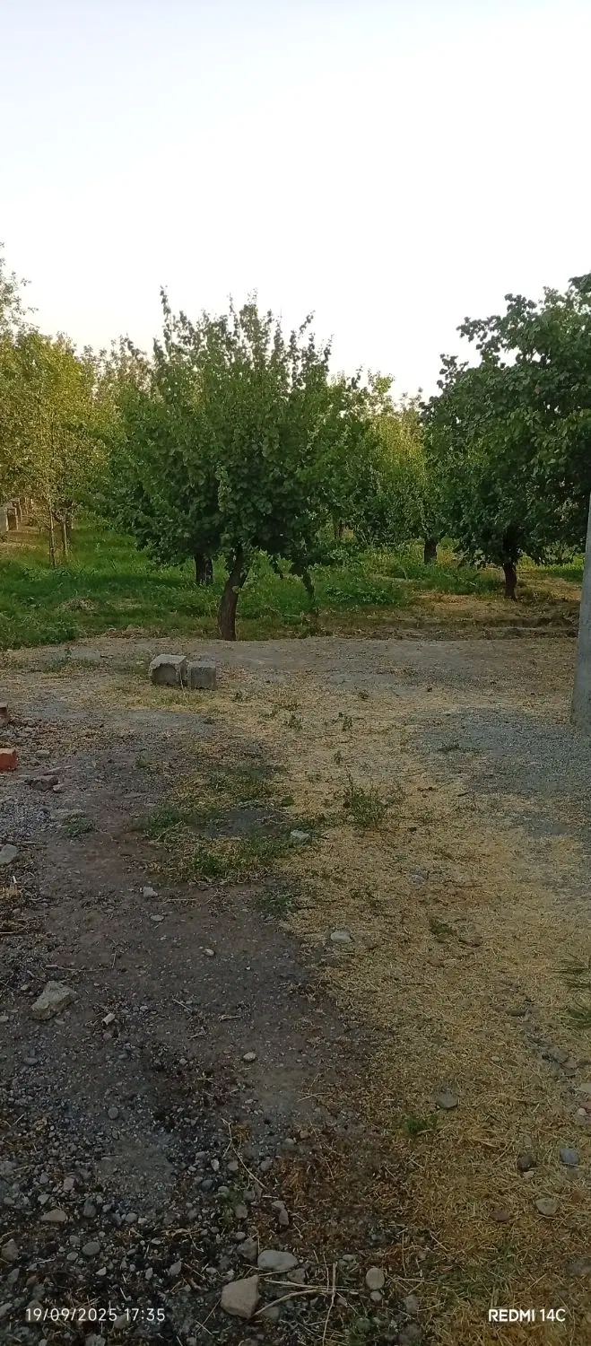 ملک شخصی