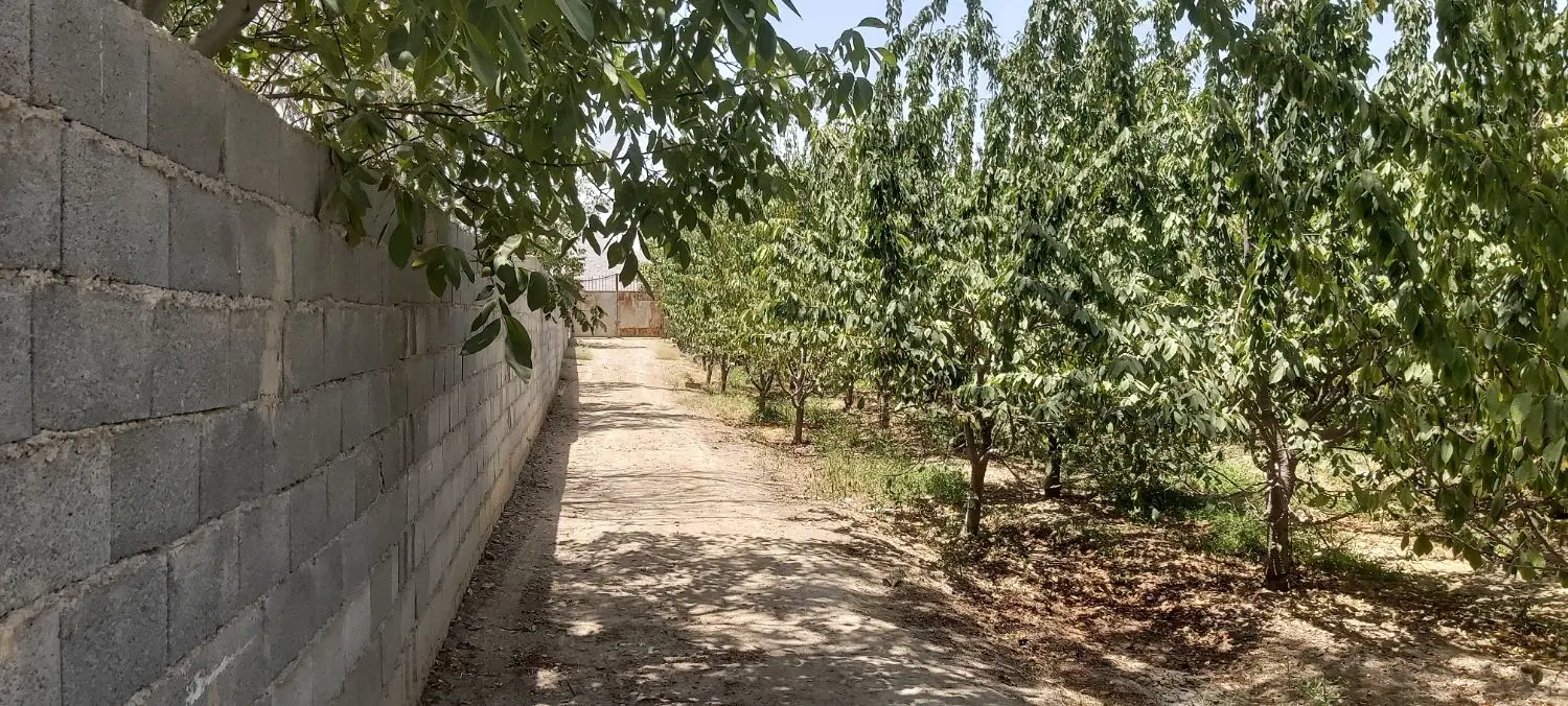 فروش باغ در آغچه بدی