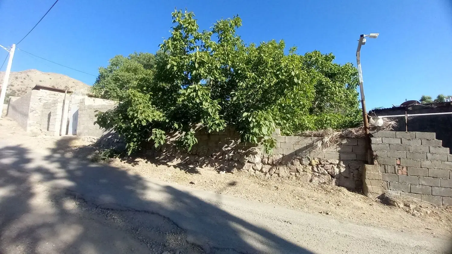 زمین‌ بهترین جای خوش آب هوای دهبکری