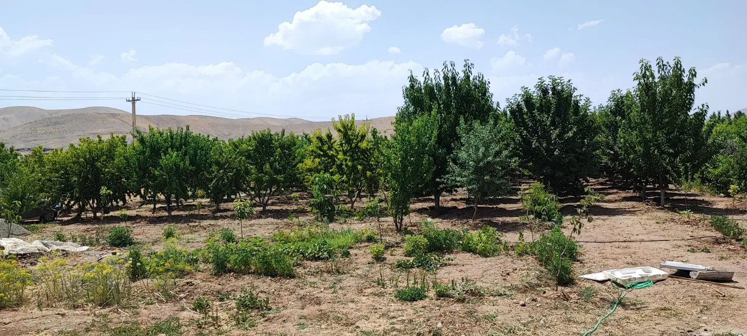 باغ خوشکه دول 2000 متری