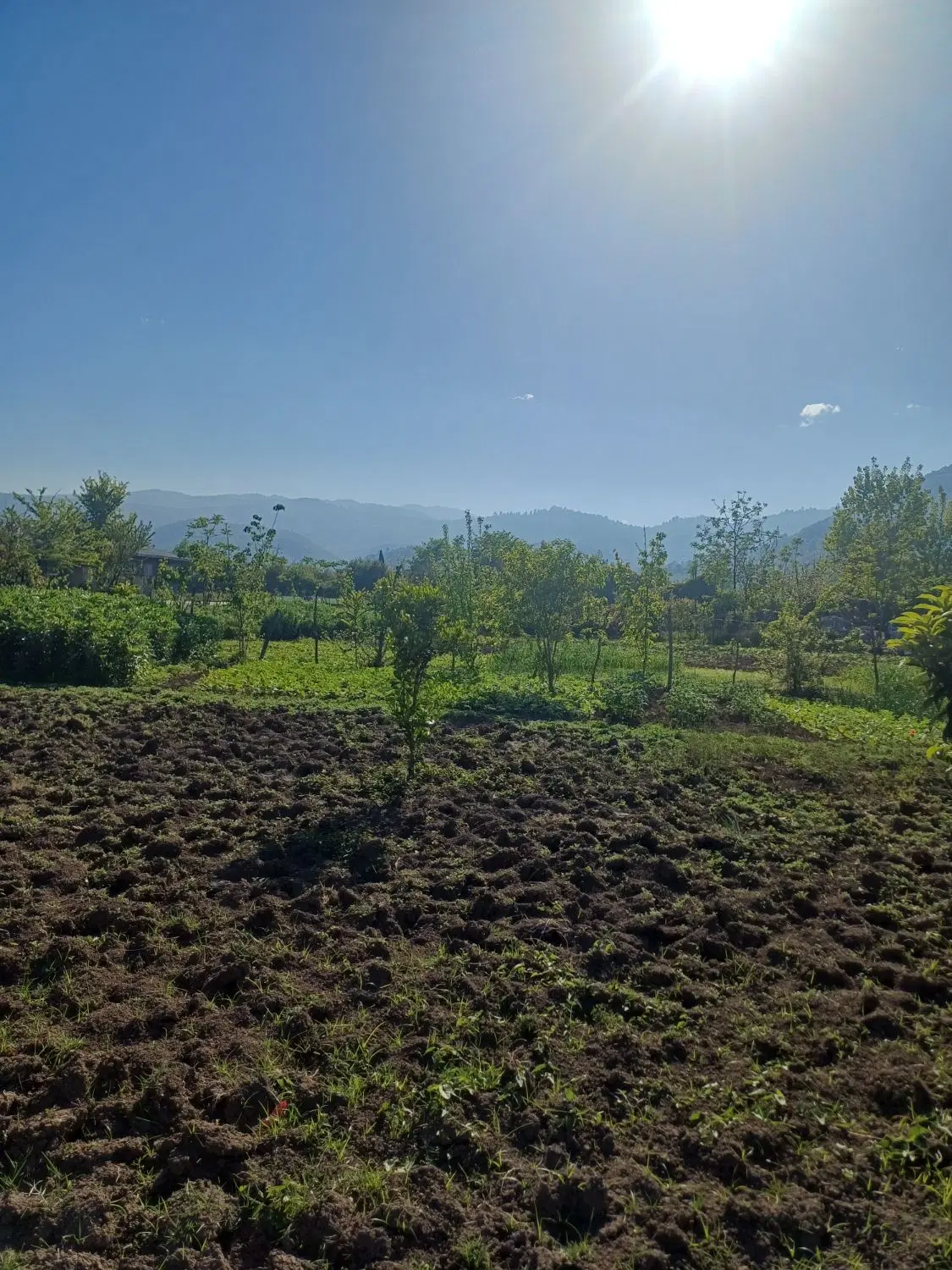 فروش یک قطعه زمین روستایی و کوهپایه