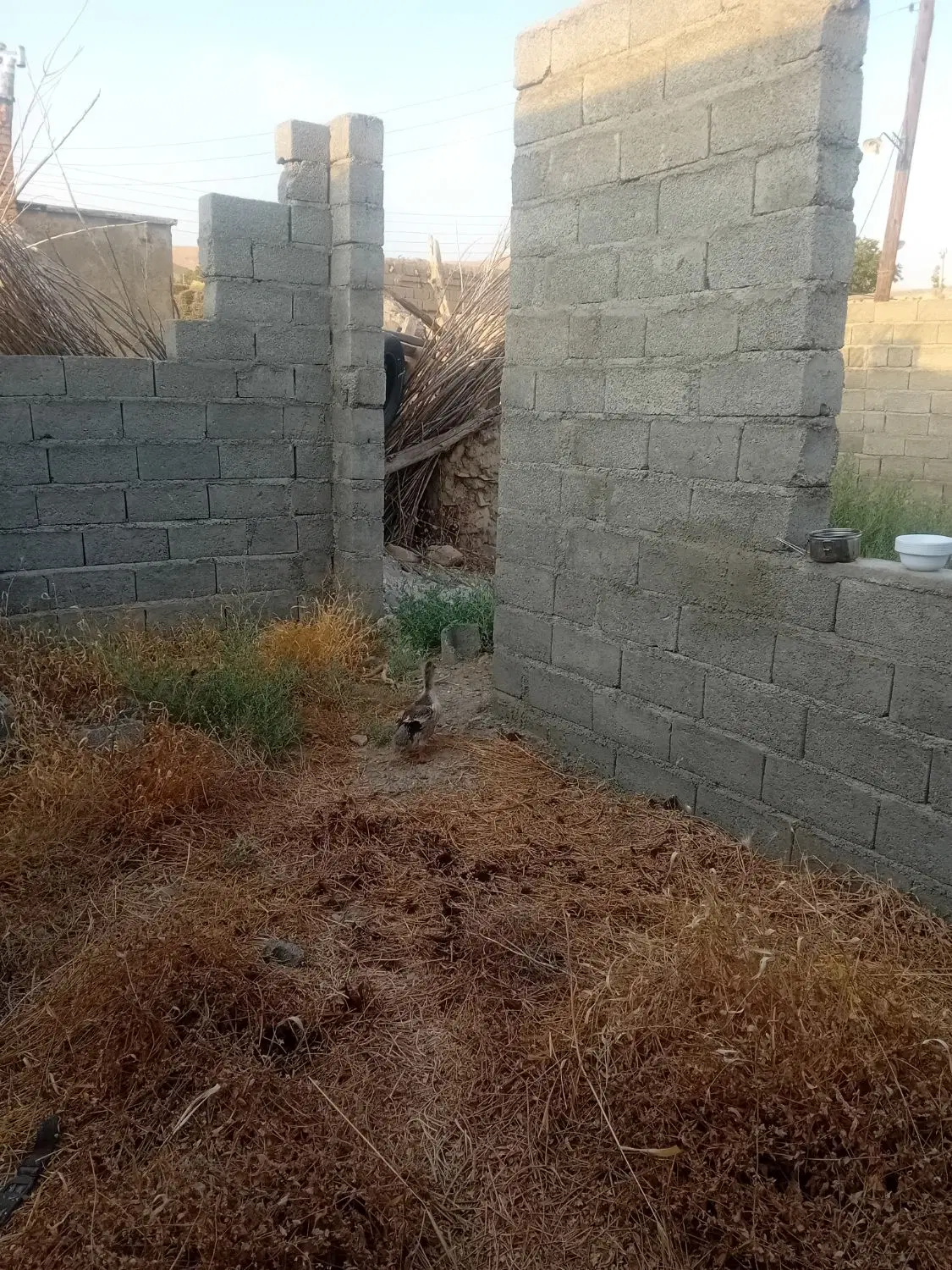 زمین ساختمانی فروشی فوری