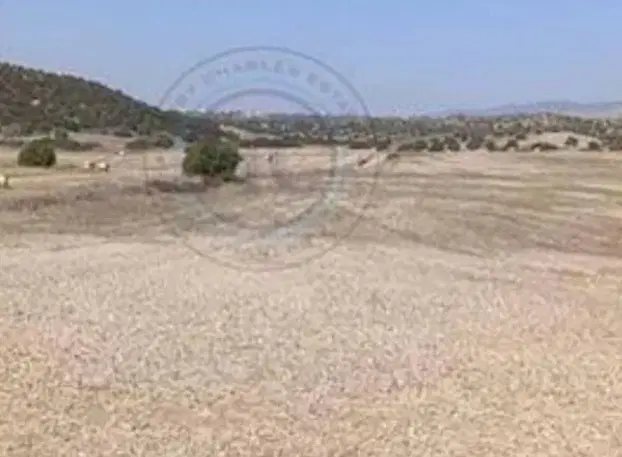 زمین مسکن ملی