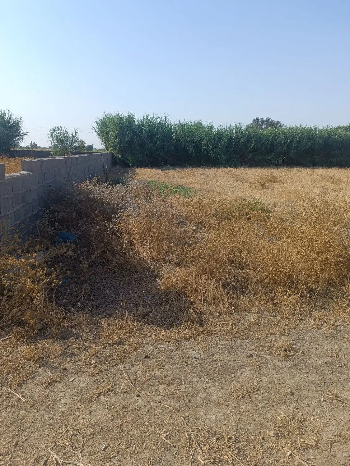 زمین فروشی