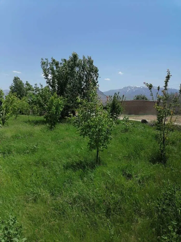باغ میوه در شهر کشکسرای