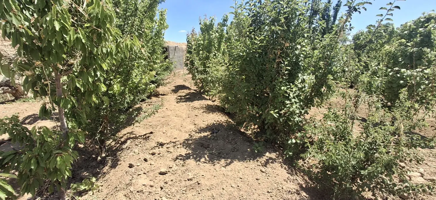 فروش باغ سنددار