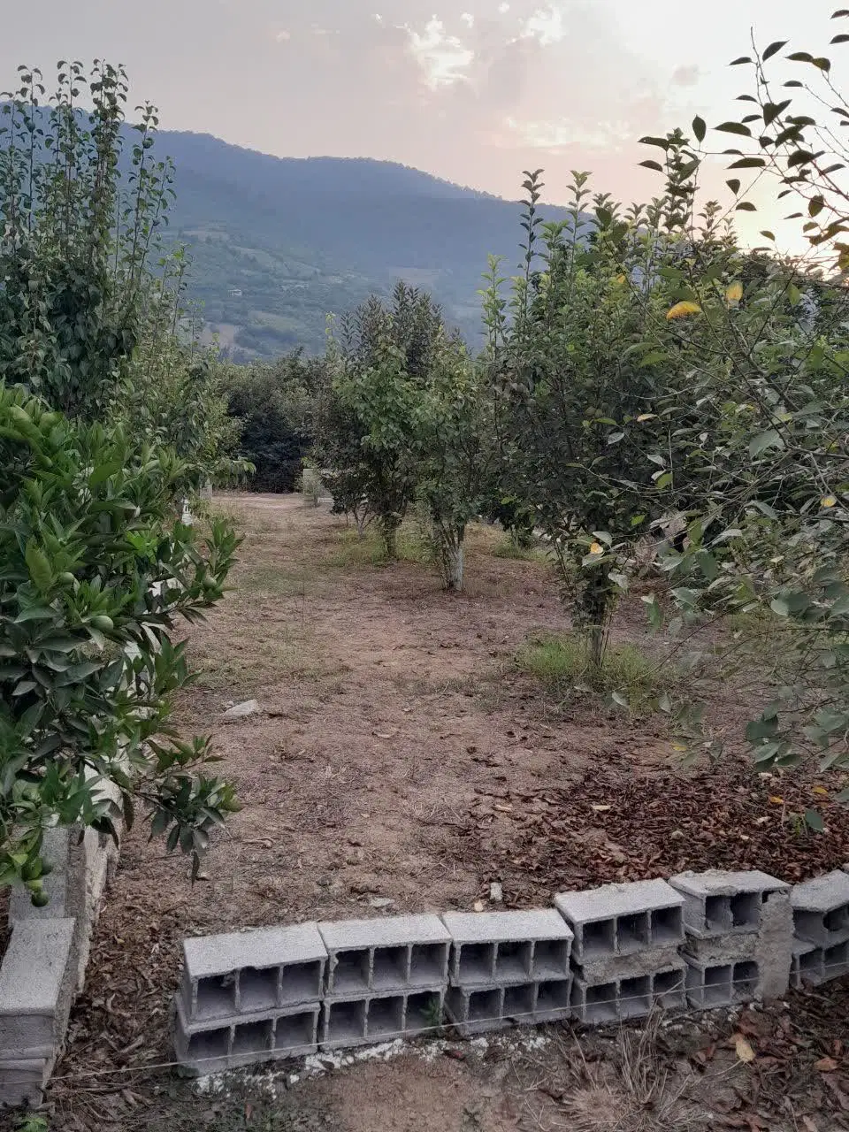فروش زمین