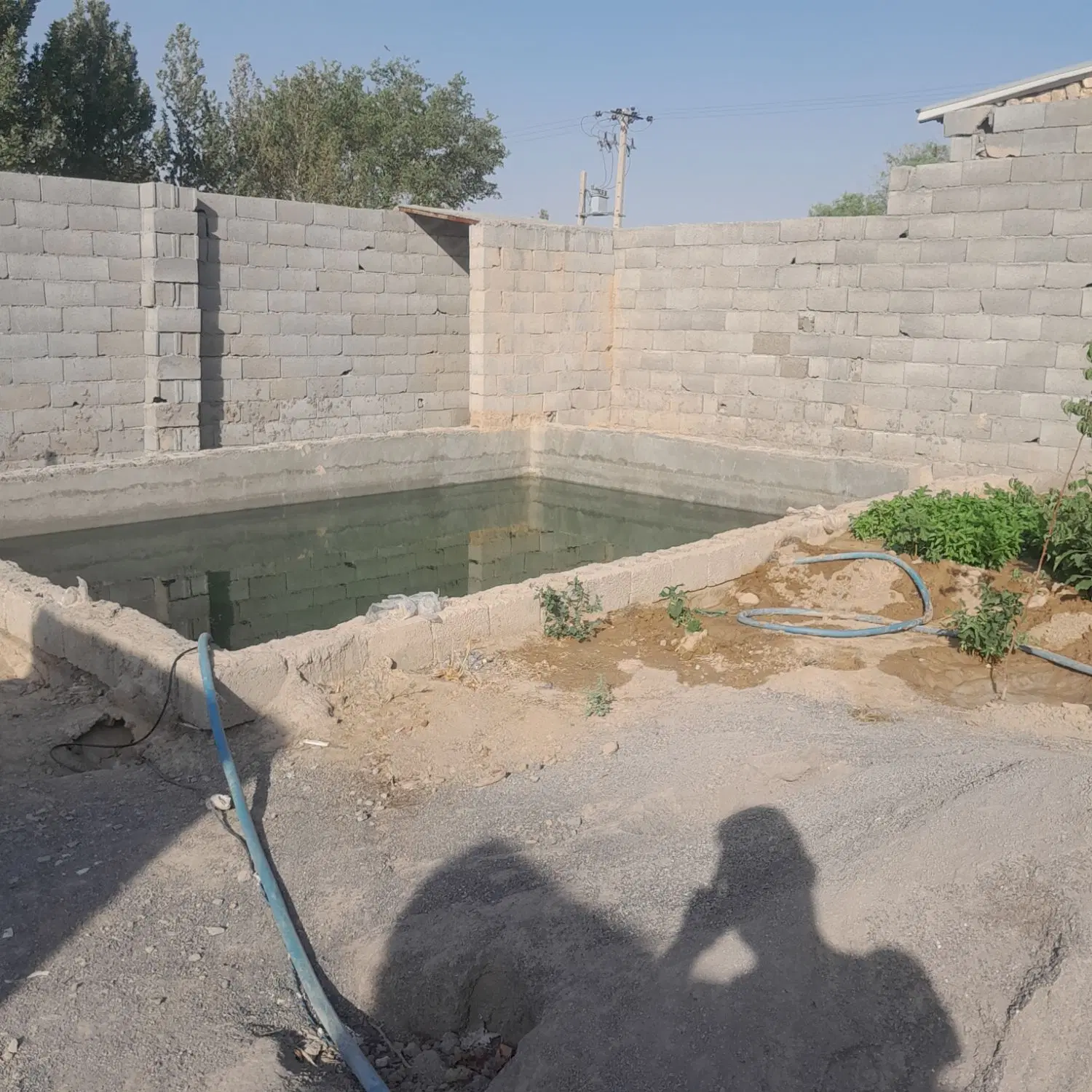 باغ