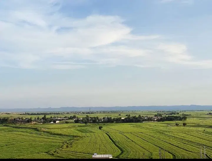 زمین کشاورزی