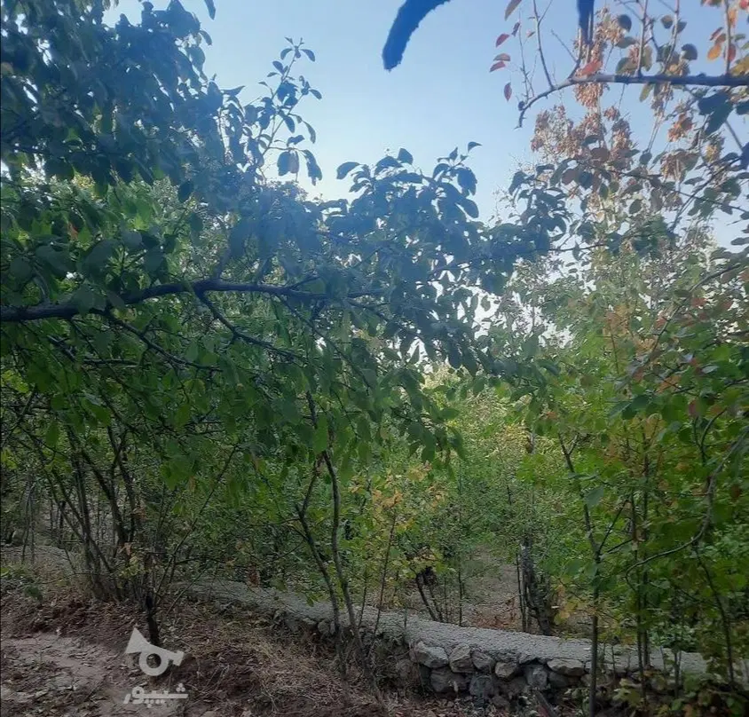 باغ ارزان قیمت در فشم  مناسب برای سرمایه گذاری