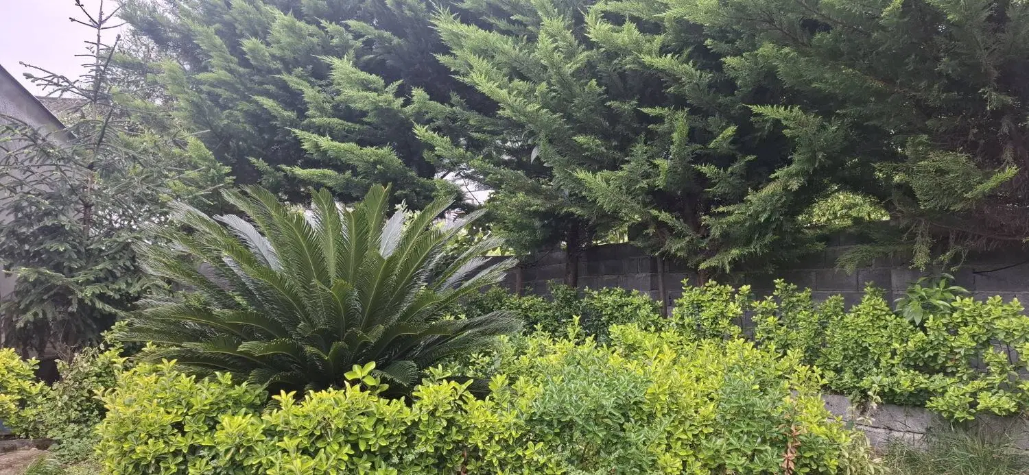 رهن و اجاره ویلا