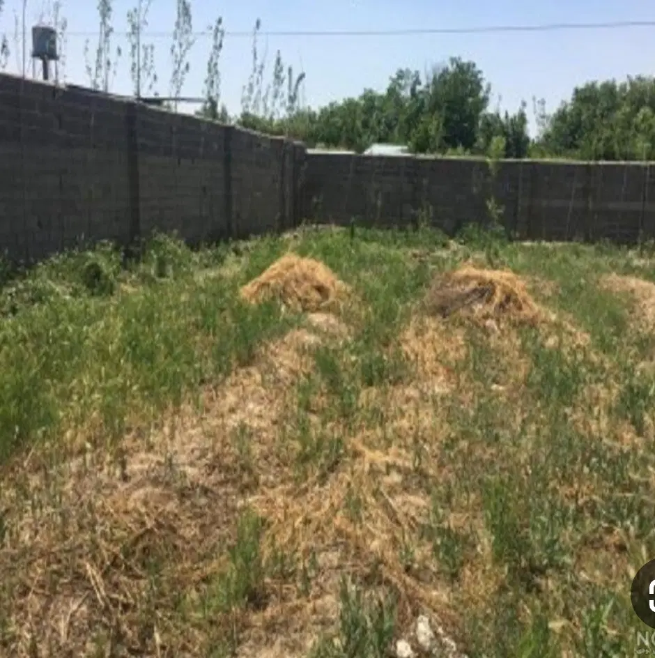 زمین مسکونی کنگان شهرک معلم