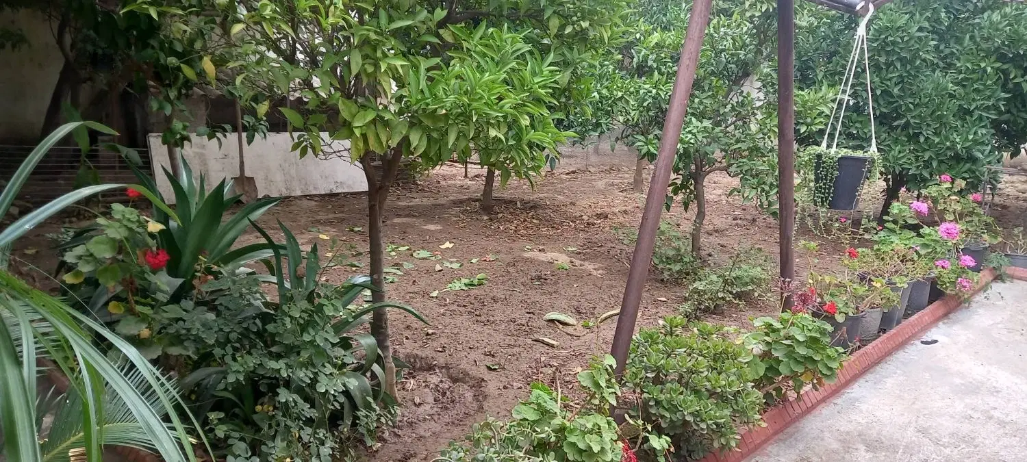 زمینی هست به متراژ ۲۳۰ متر