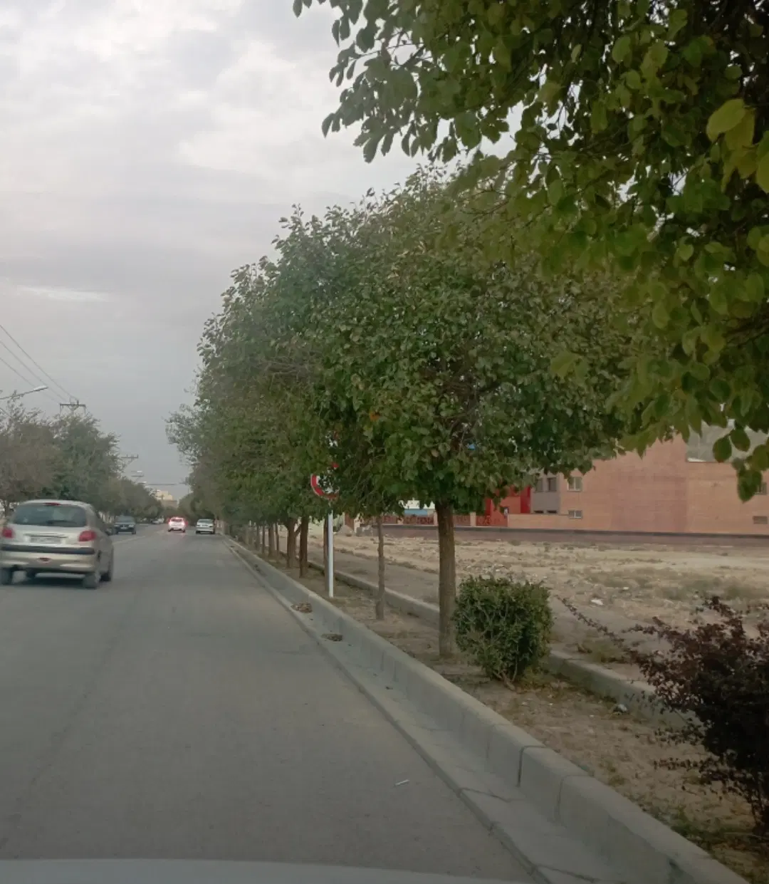 زمین بر خیابان امینی