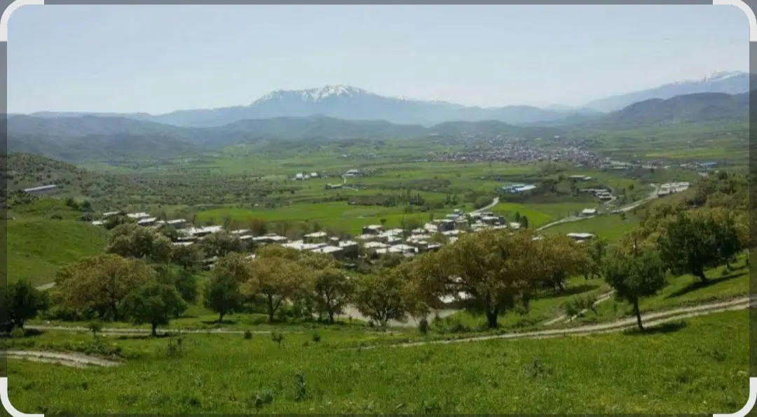 پلاک تجاری مسکونی برقلا