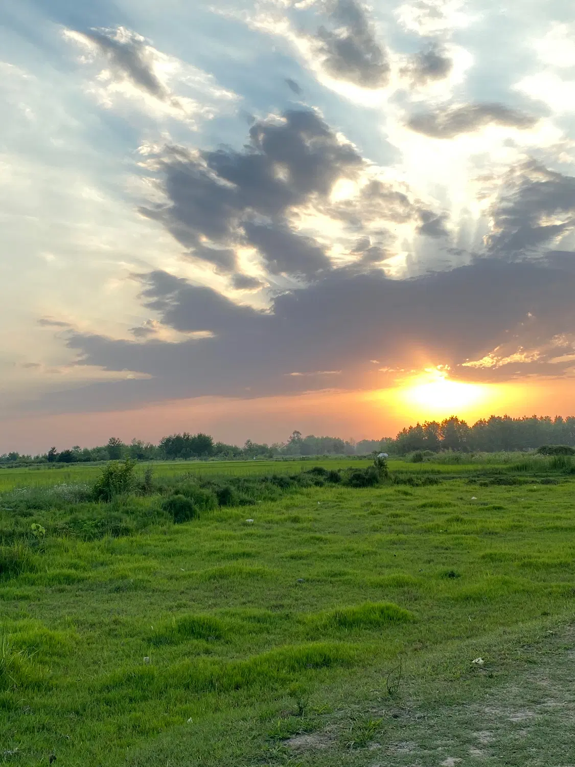 زمین مسکونی کاسبی (سند تک برگ )