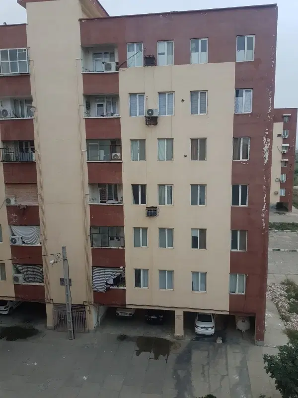 هم خونه