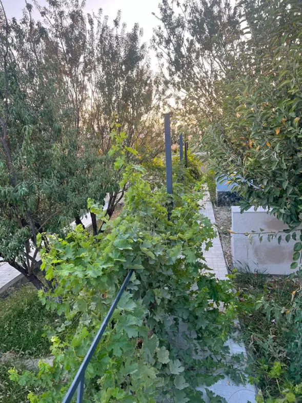 مغازه ۴۰ متری