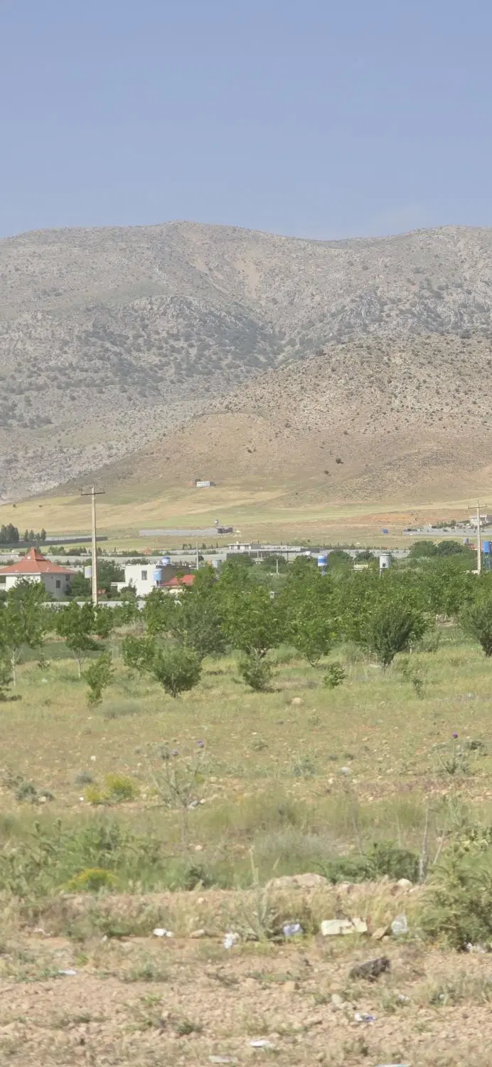 باغ دالین هماشهر ۱۶۰۰ و ۴۷۰۰ متری