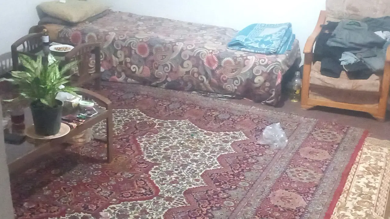 همخونه هم خانه هم خونه همخانه