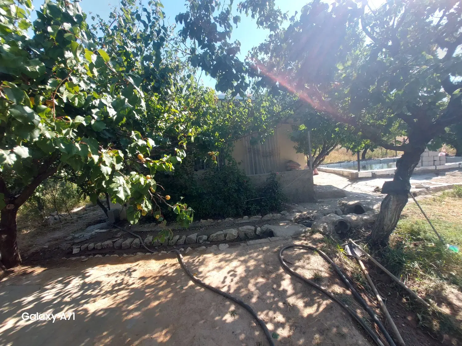 فروش باغ