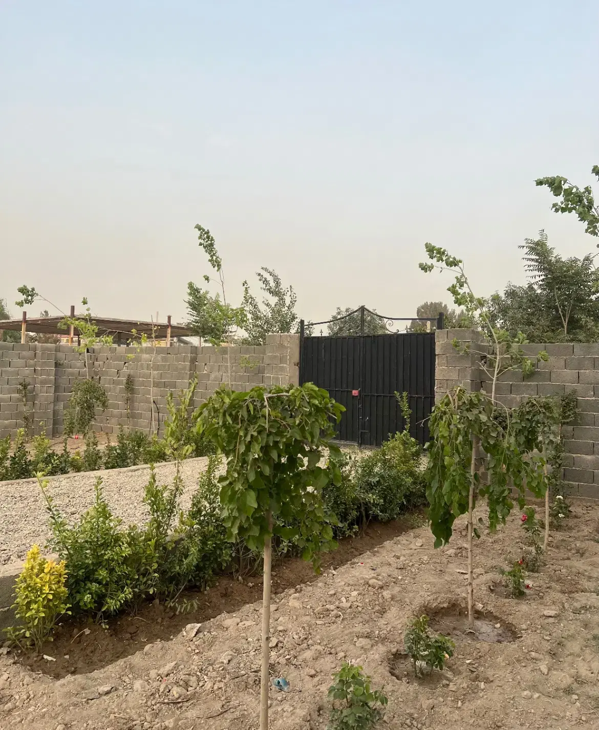 ۲۳۰متر باغچه بافت سند تکبرگ ویلایی روستای بختیار