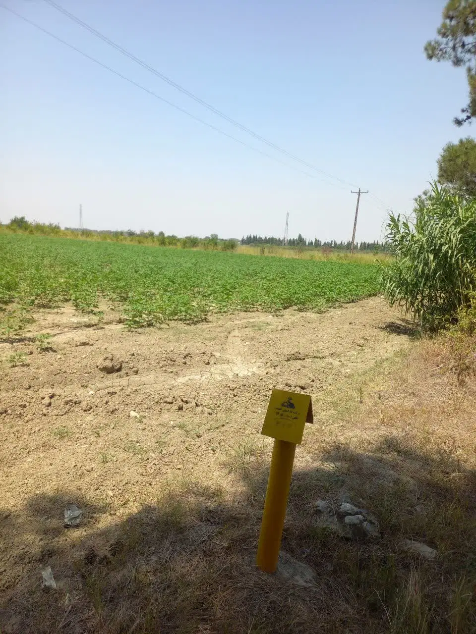 ۲ قطعه زمین واقع در شصت کلا