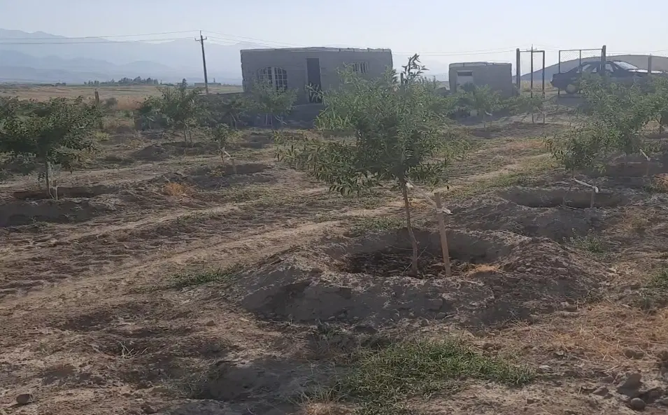 باغ بادام‌ در کنار سد بناب مرند