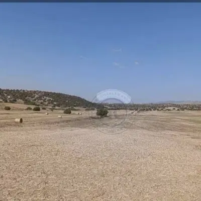 زمین مسکونی