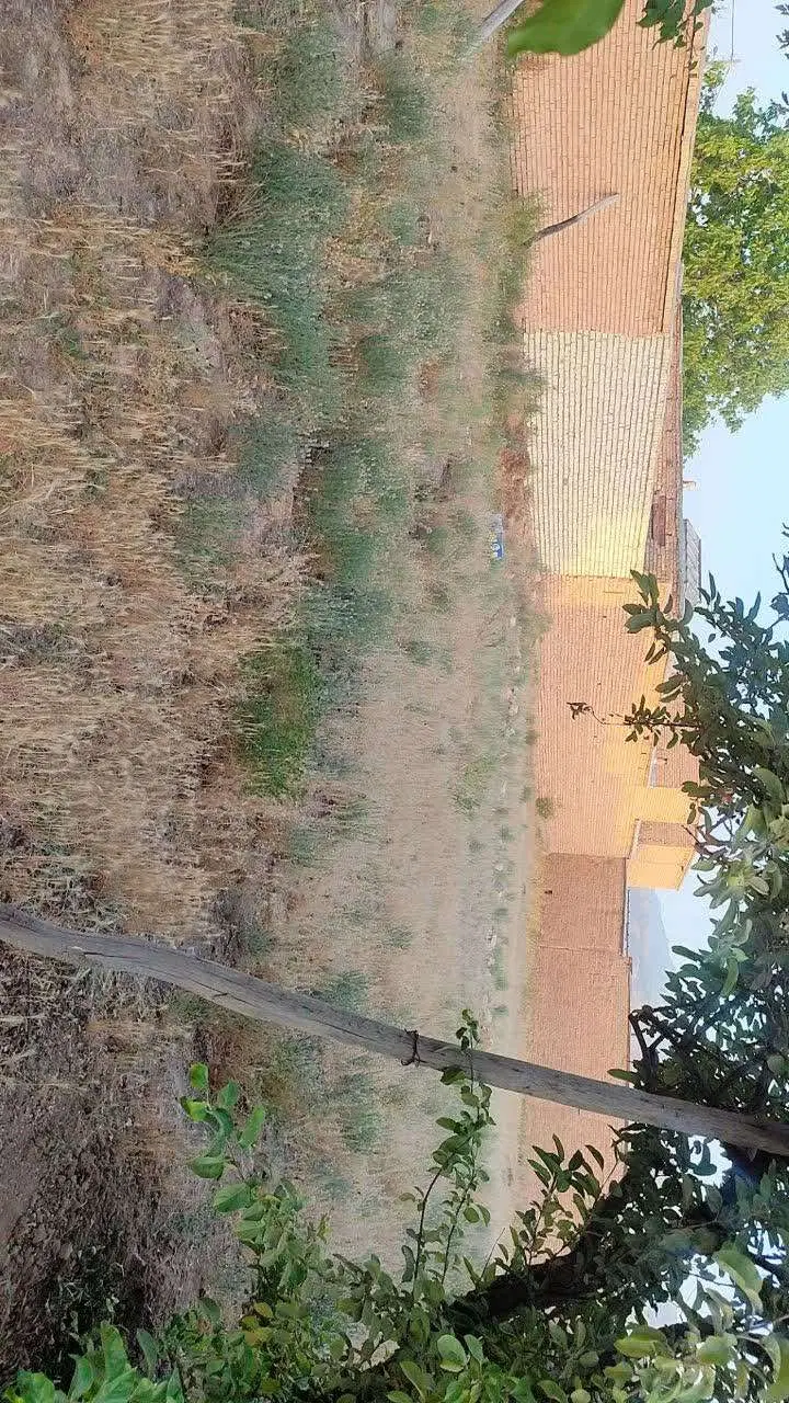 خانه کلنگی در موقعیت مکانی خوب