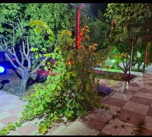 باغ ویلا با سند 6 دانگ با برق گاز آب در بارانلو