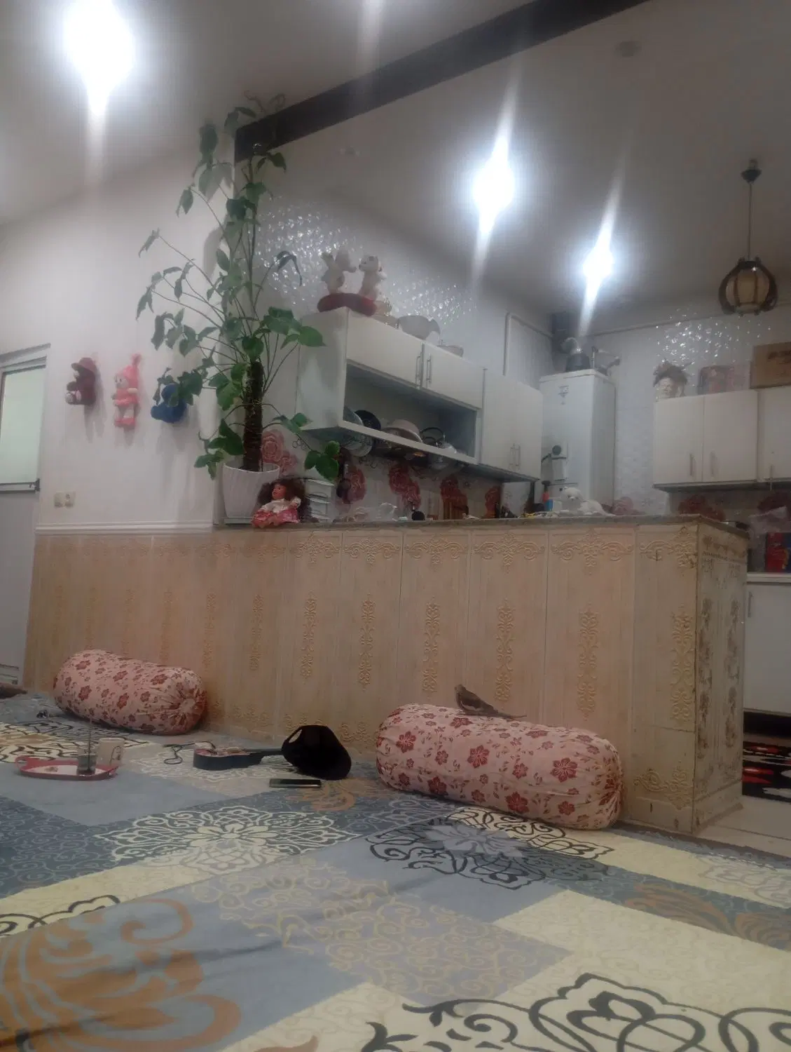 منزل اجاره‌ای ادیمی خیابان باهنر