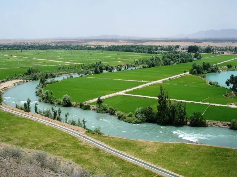 زمین کشاورزی درصحرا گردان چمگردان