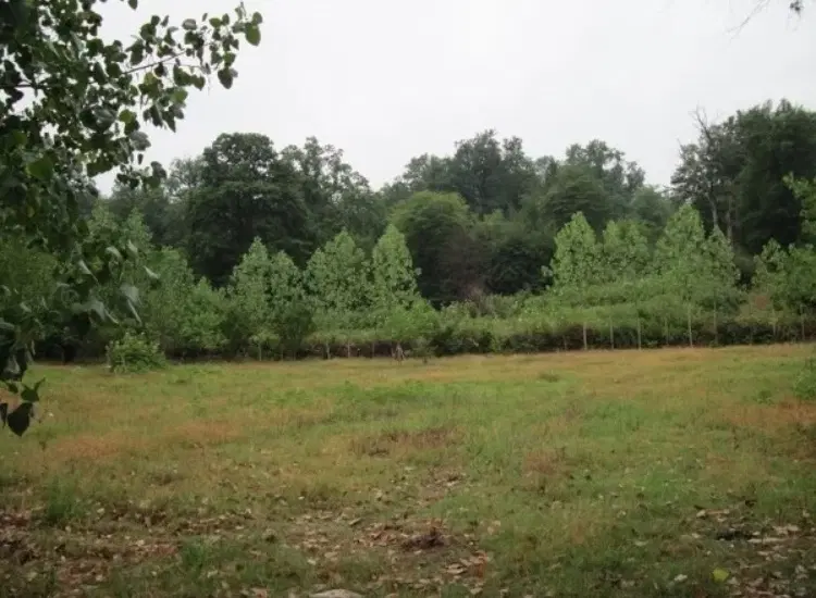زمین با کاربری مسکونی شمال کشور (رشت)