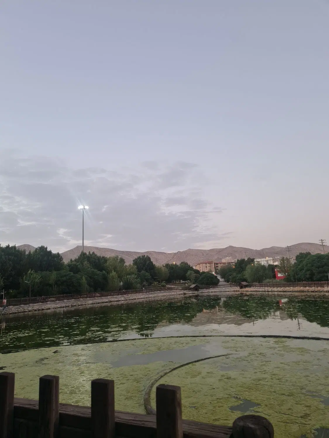 فروش باغشهری