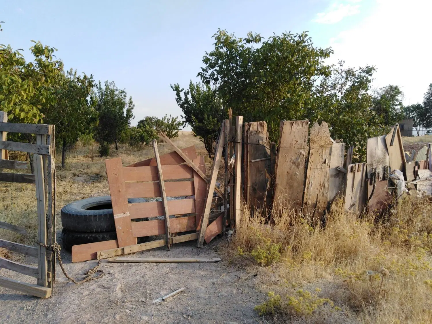 باغ سیاه بیدعلیا