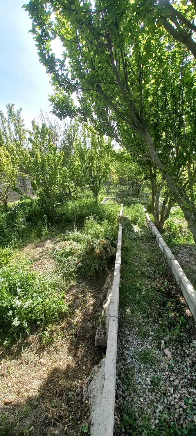 باغ بحر خیابان اصلی