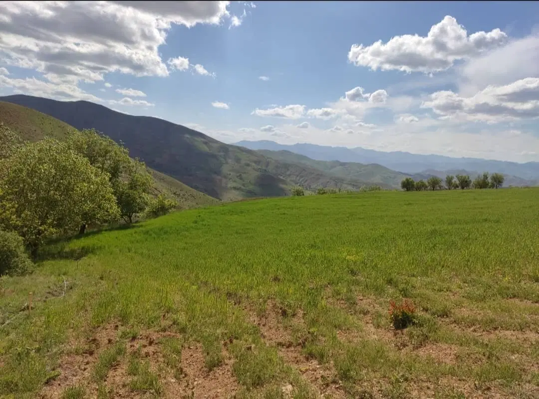 فروش زمین کشاورزی سنددار جاده نران