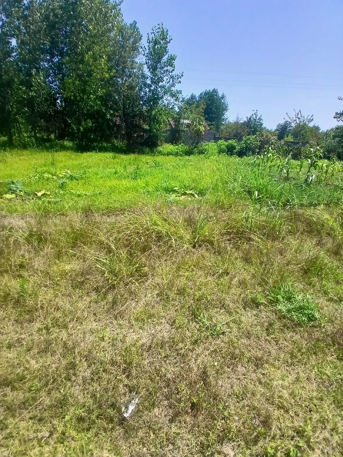 فروش زمین مسکونی