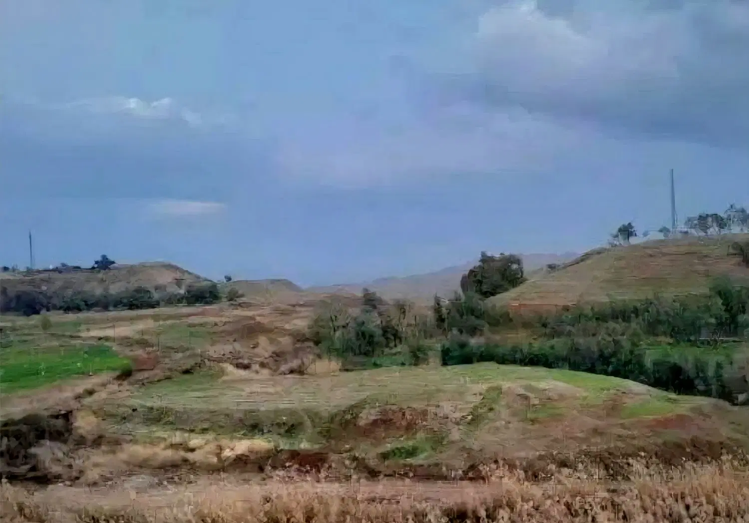 زمین زراعی داخل شهر قصرشیرین