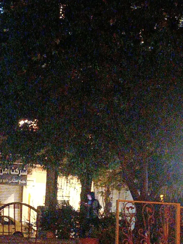 زمین 215متر تو بافت وسط روستای سرطاق زیر قیمت