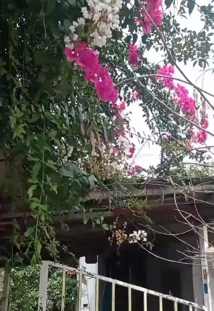 منزل فروشی