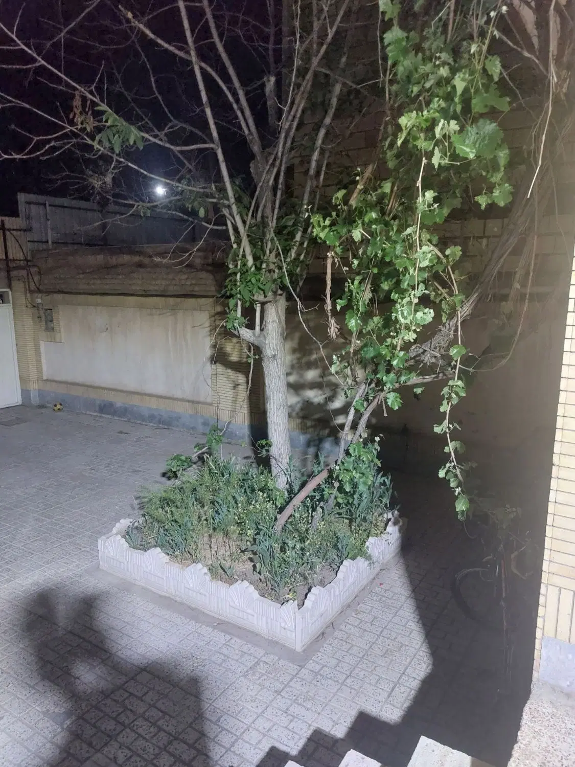 ویلایی شمالی شهرک فرهنگیان