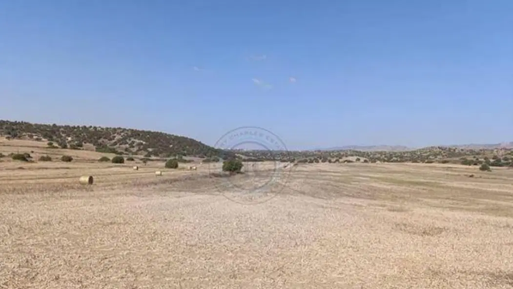 زمین