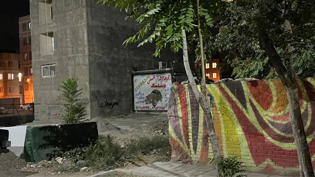 زمین تجاری در بلوار باهنر نبش۱۶متری جنب باغ ۳ دانگ