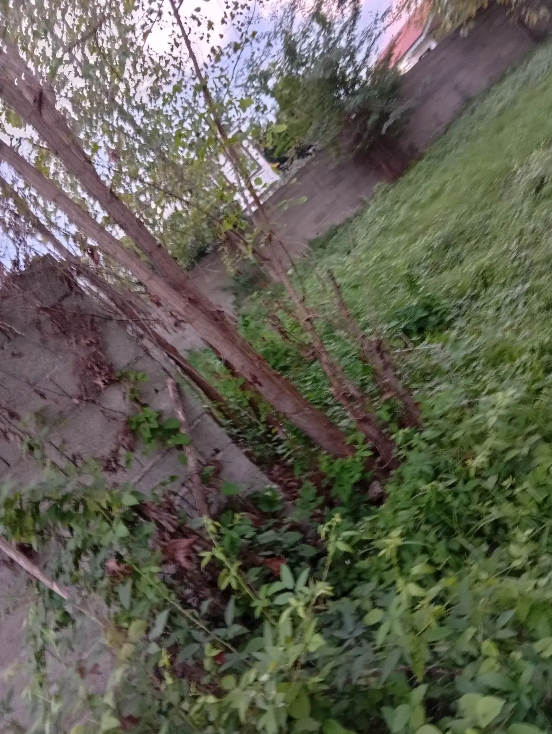 زمین سنددار باغی مسکونی روستای زیگسار۳۰۰م