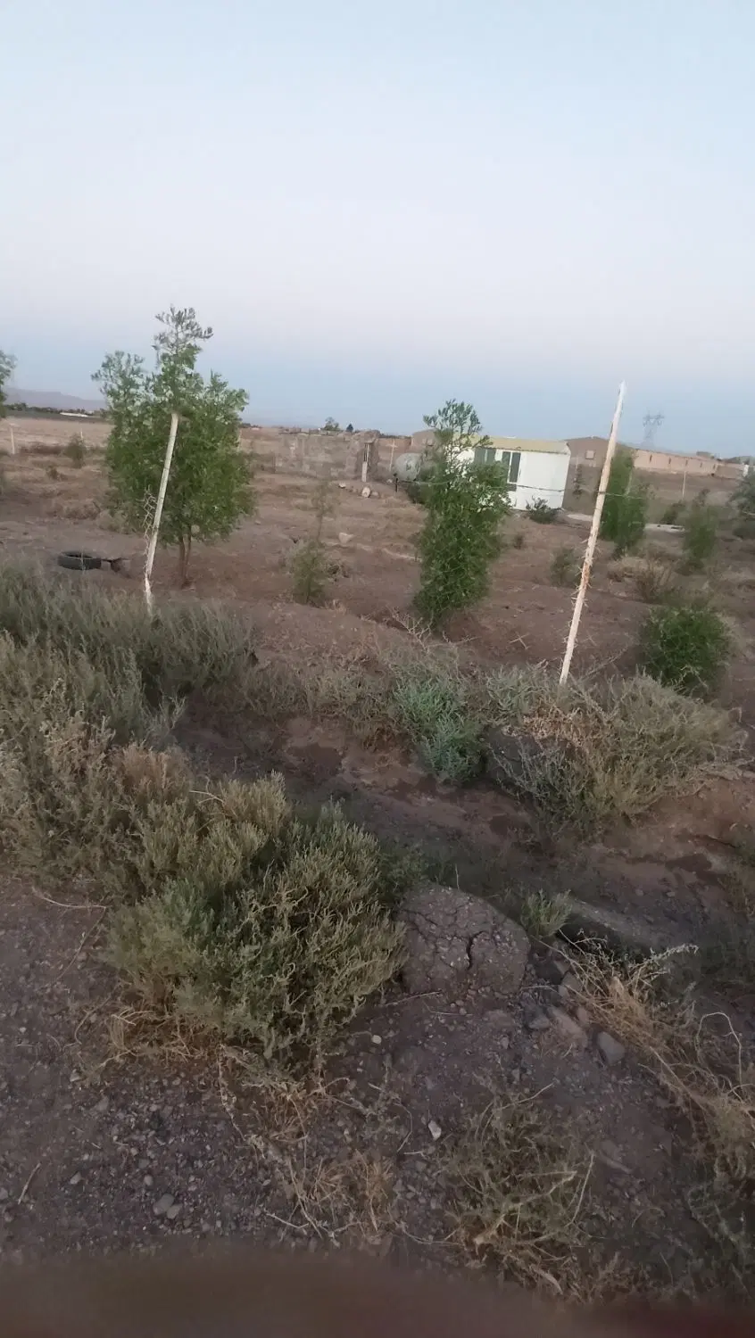 باغ هزارمتری دارای درخت